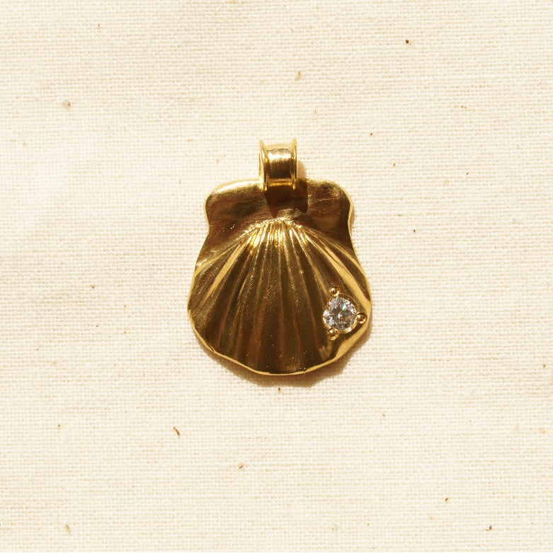 ETRUSCAN SHELL