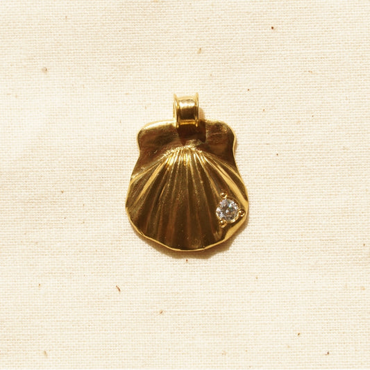 ETRUSCAN SHELL
